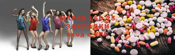 PSILOCYBIN Аркадак