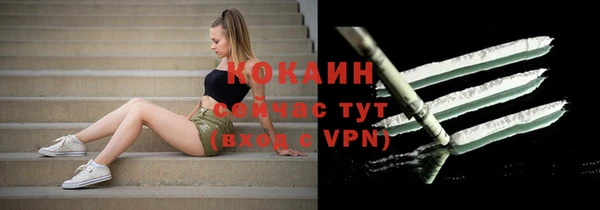 МДПВ Семёнов