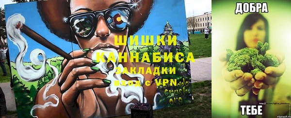 ПСИЛОЦИБИНОВЫЕ ГРИБЫ Балахна