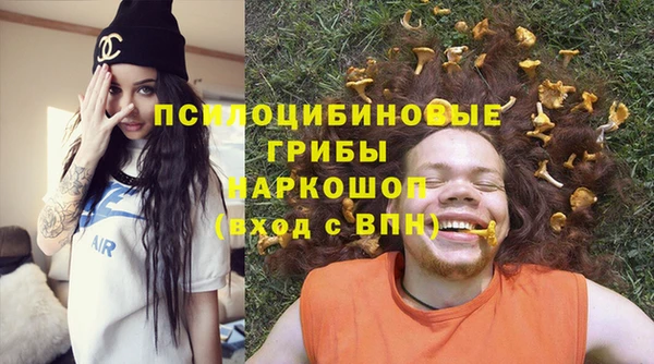 PSILOCYBIN Аркадак