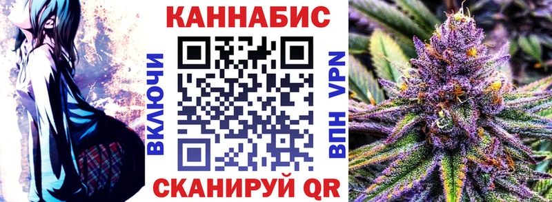 Конопля планчик  Зима 
